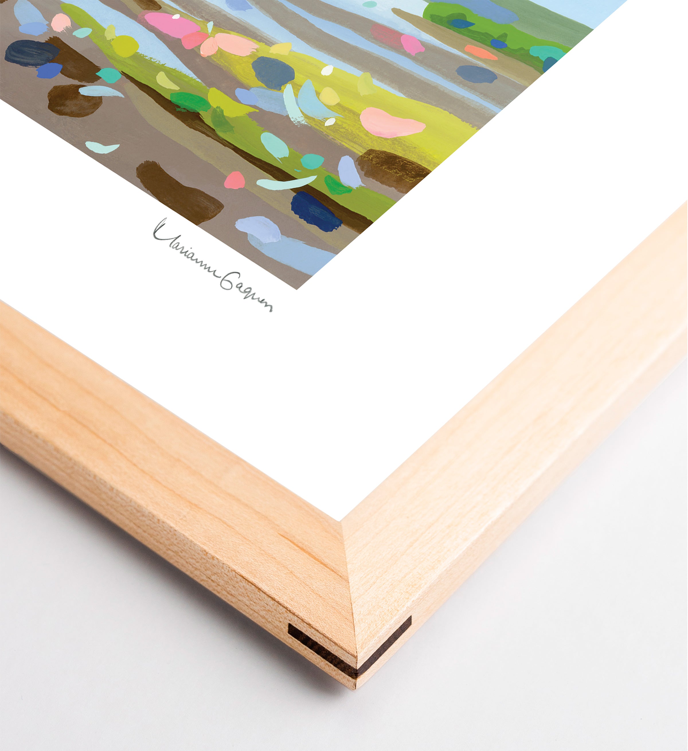 Candy Spring
| LIMITED EDITION