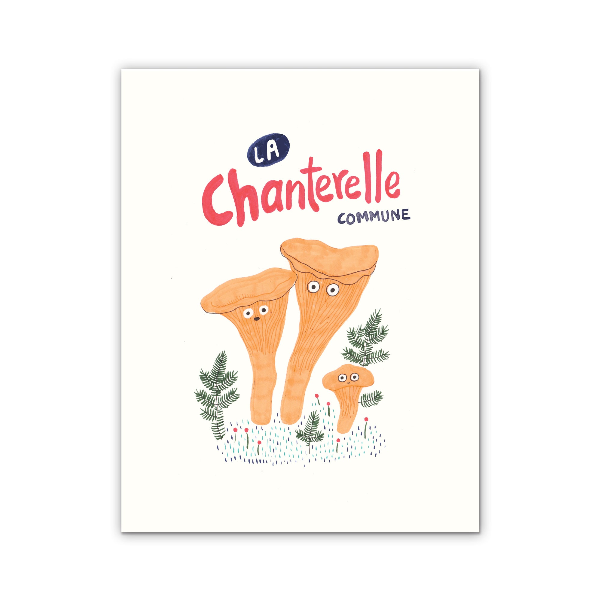 La chanterelle commune l Limited Edition