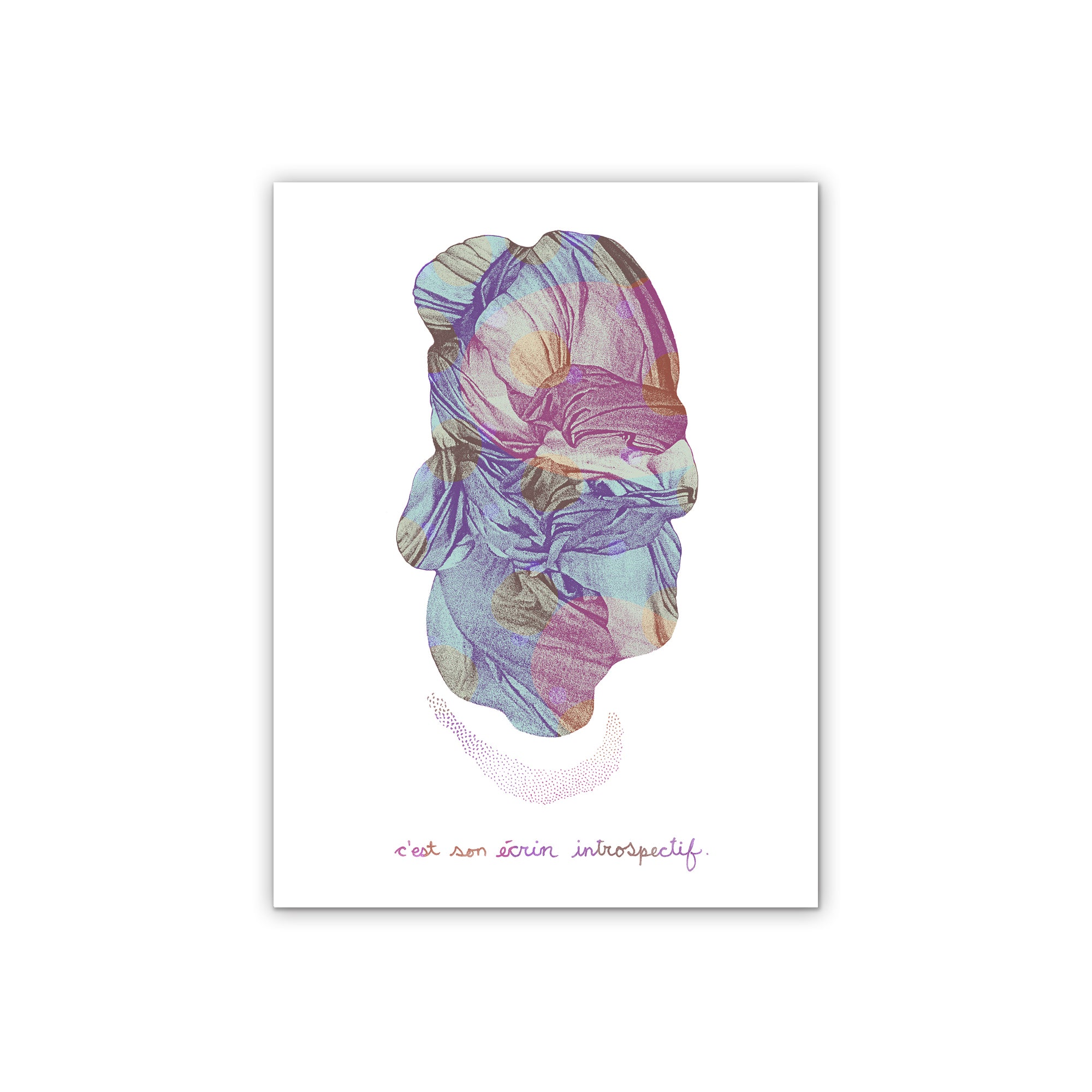 Cocoon | Limited edition