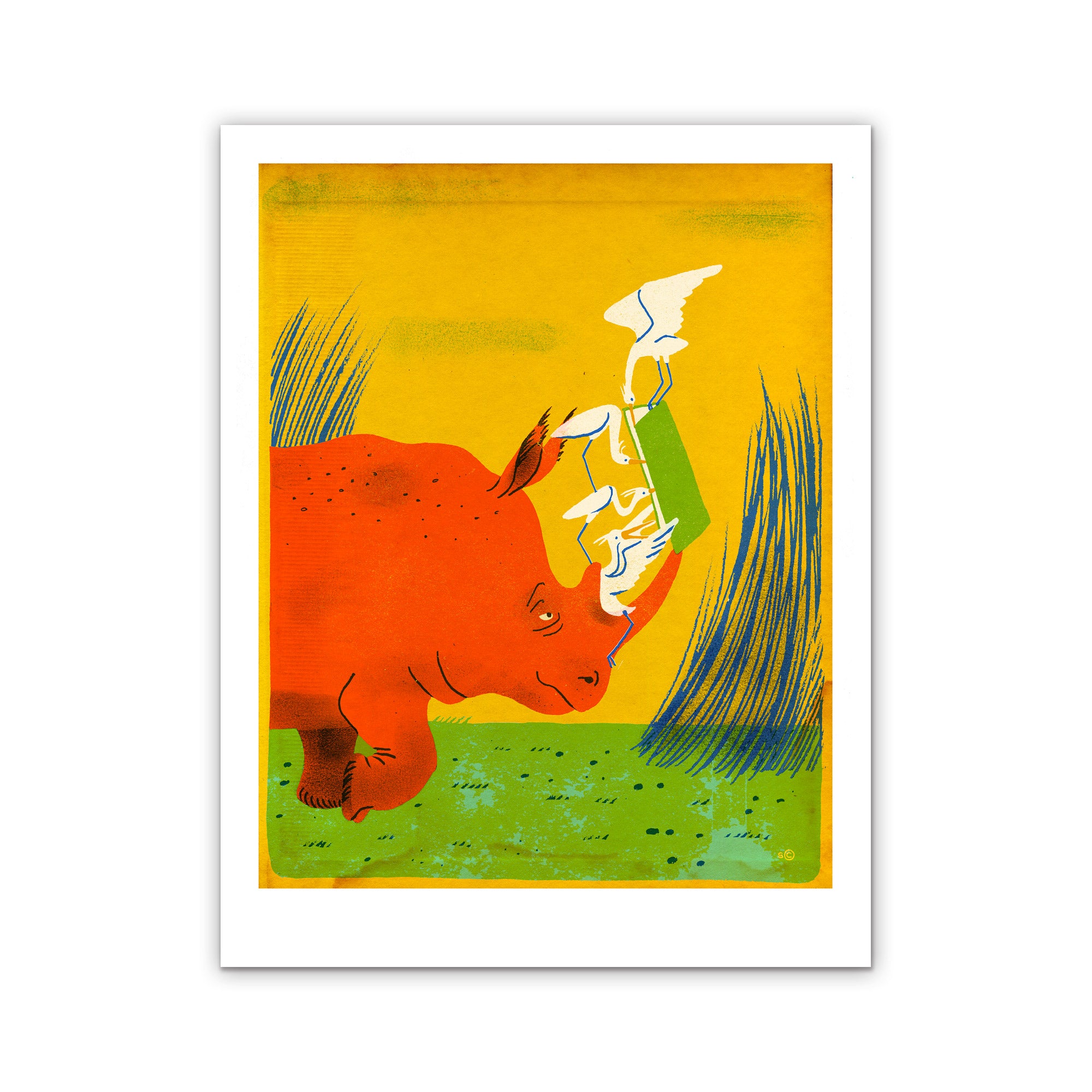 Le rhinocéros, les aigrettes et le livre l Limited Edition