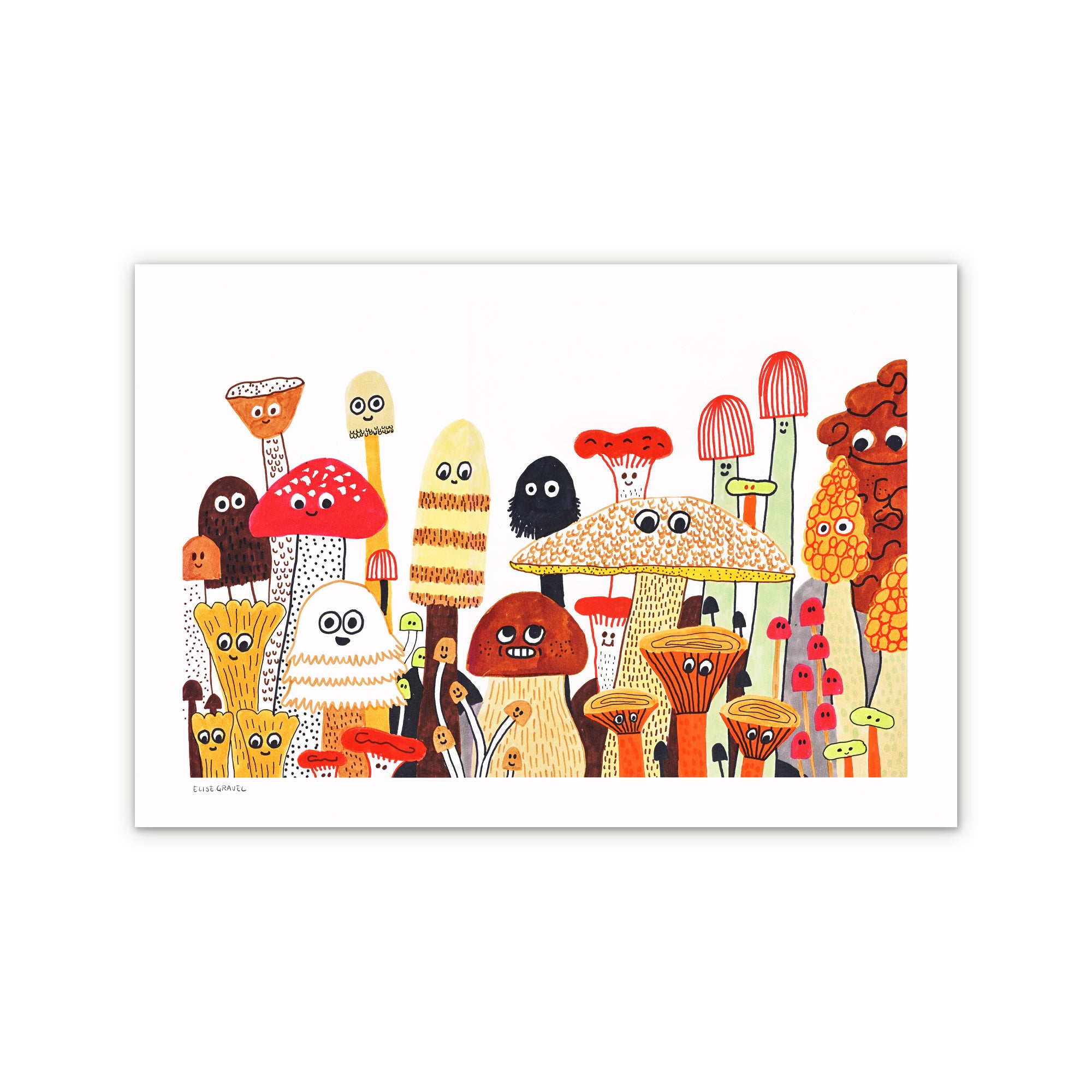 The Mushroom Fan Club