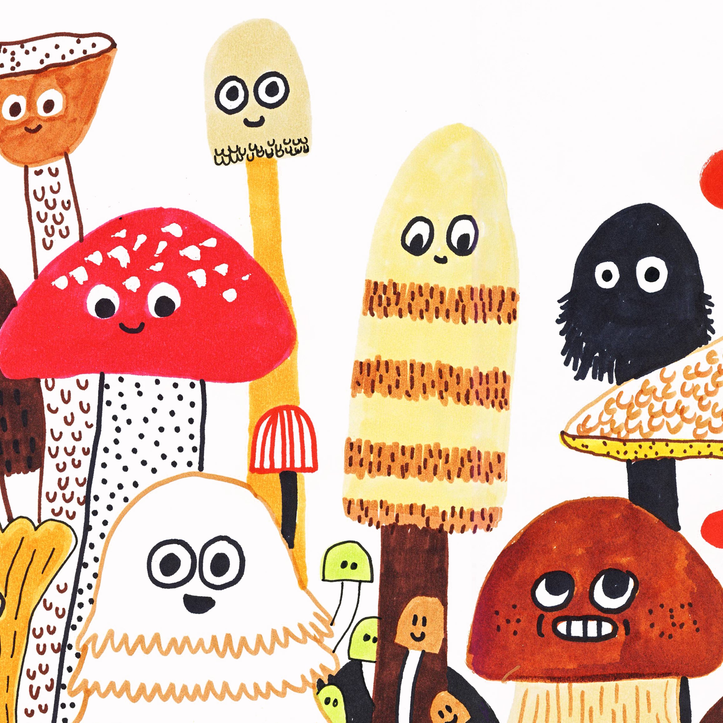 The Mushroom Fan Club