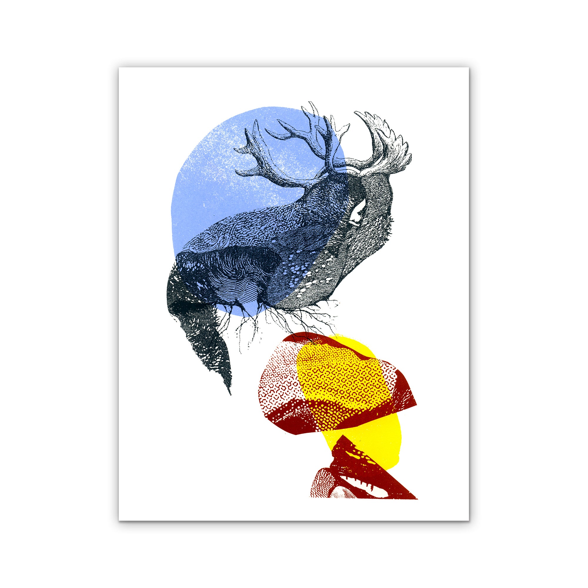 Pooka VI | Limited edition