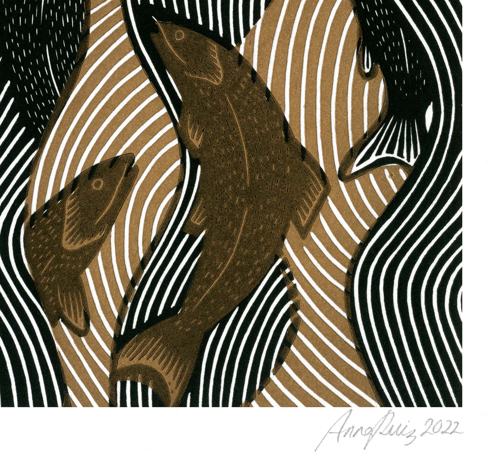 Salmon | Limited Edition