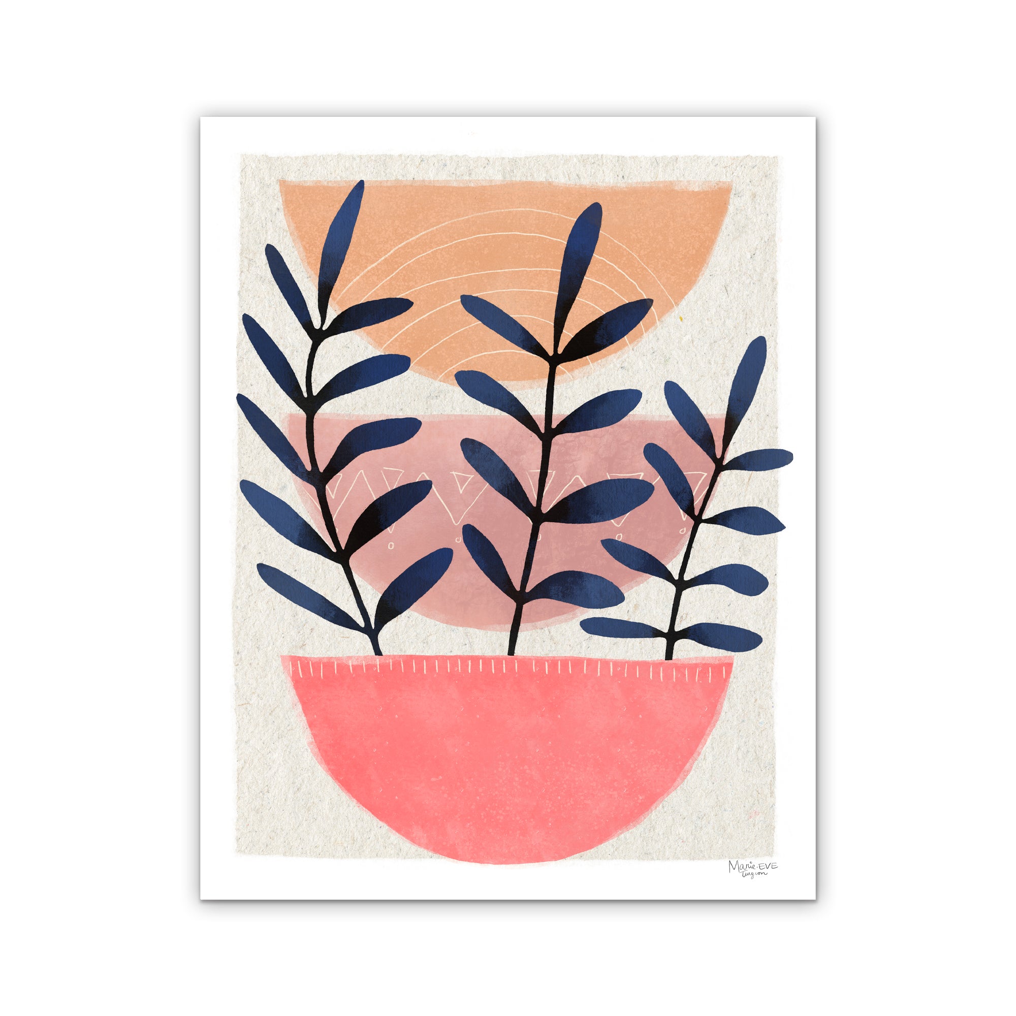 Ungava l Limited Edition