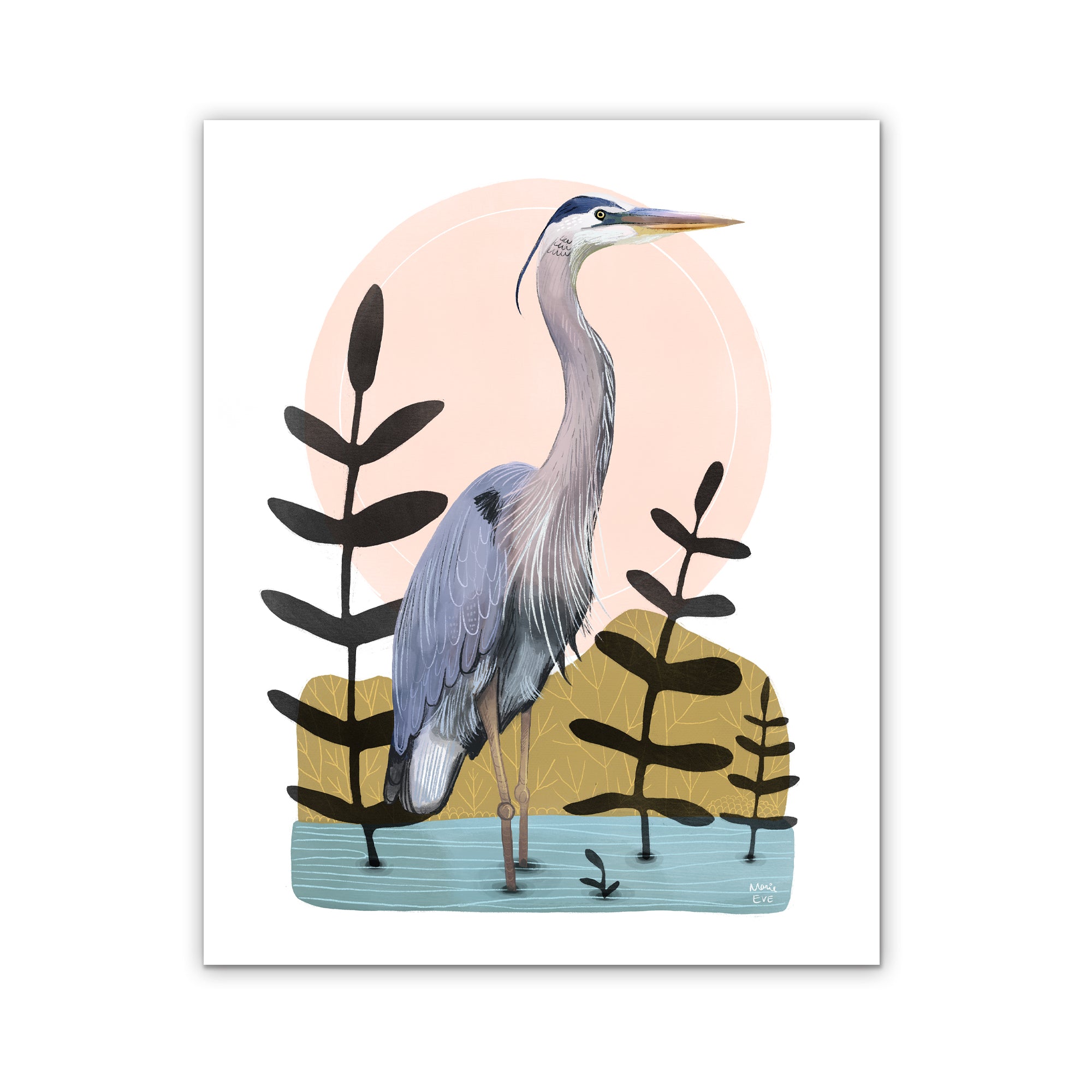 Neighbor of Lac à l’Anguille