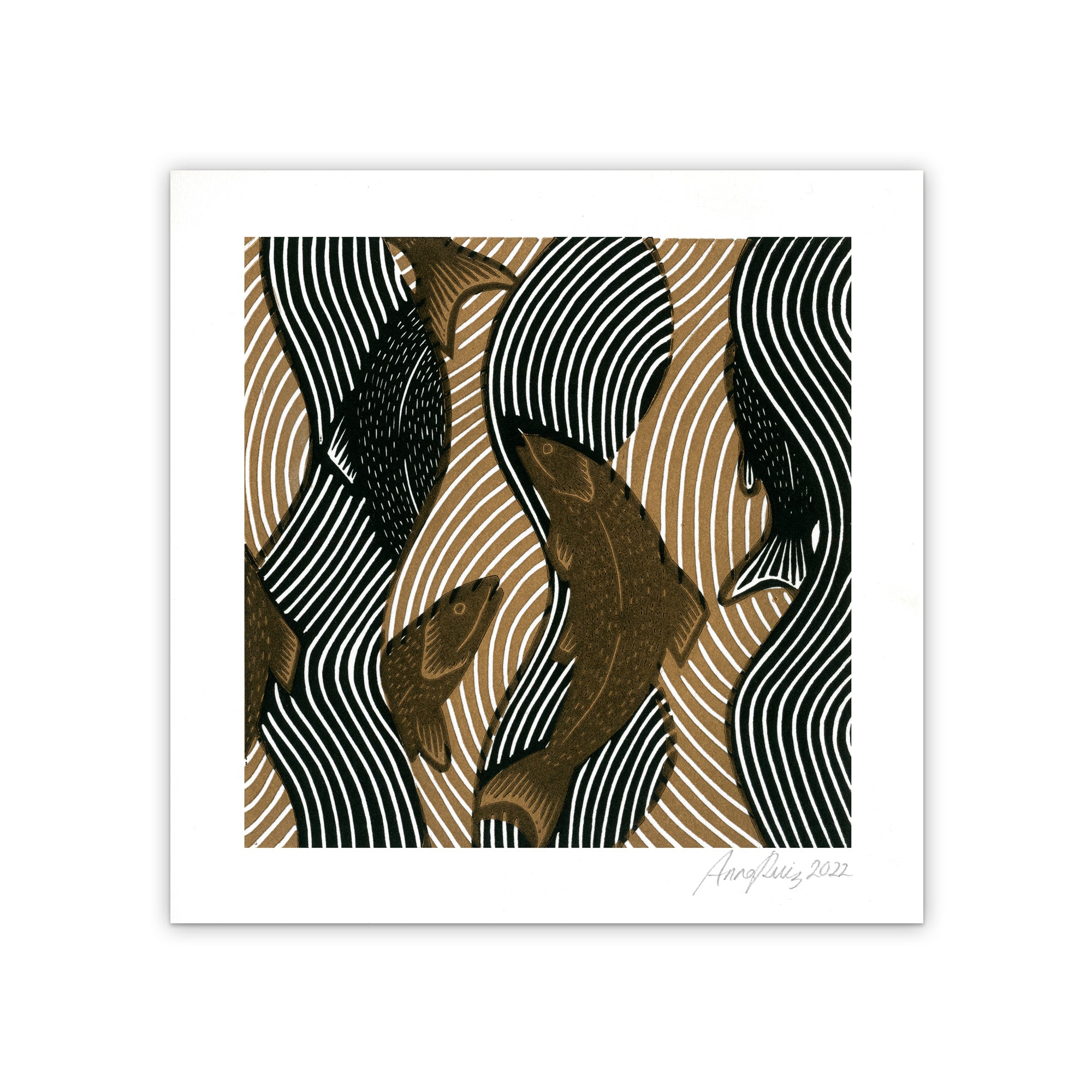 Salmon | Limited Edition