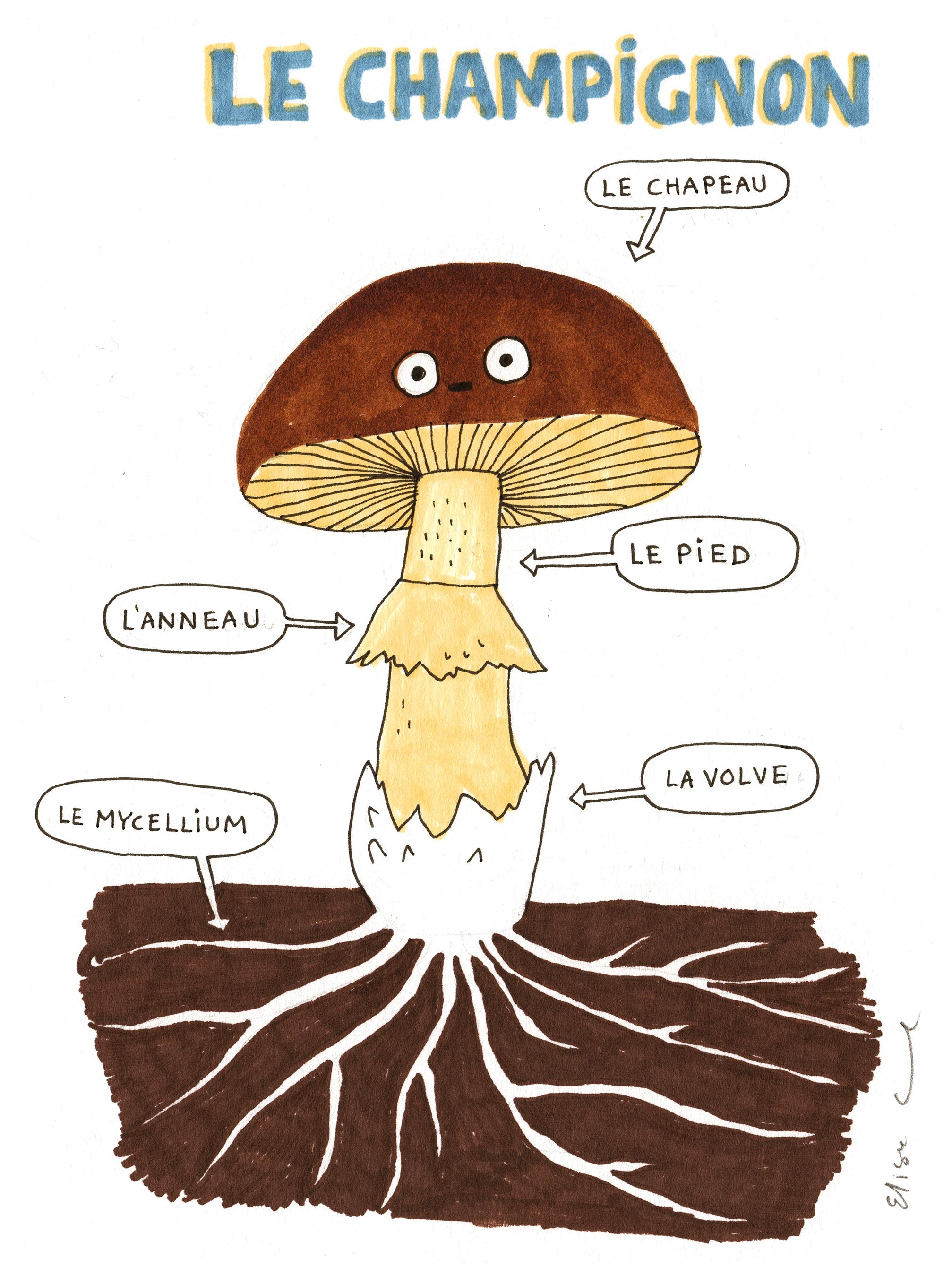 Le champignon | Original