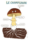 Le champignon | Original 