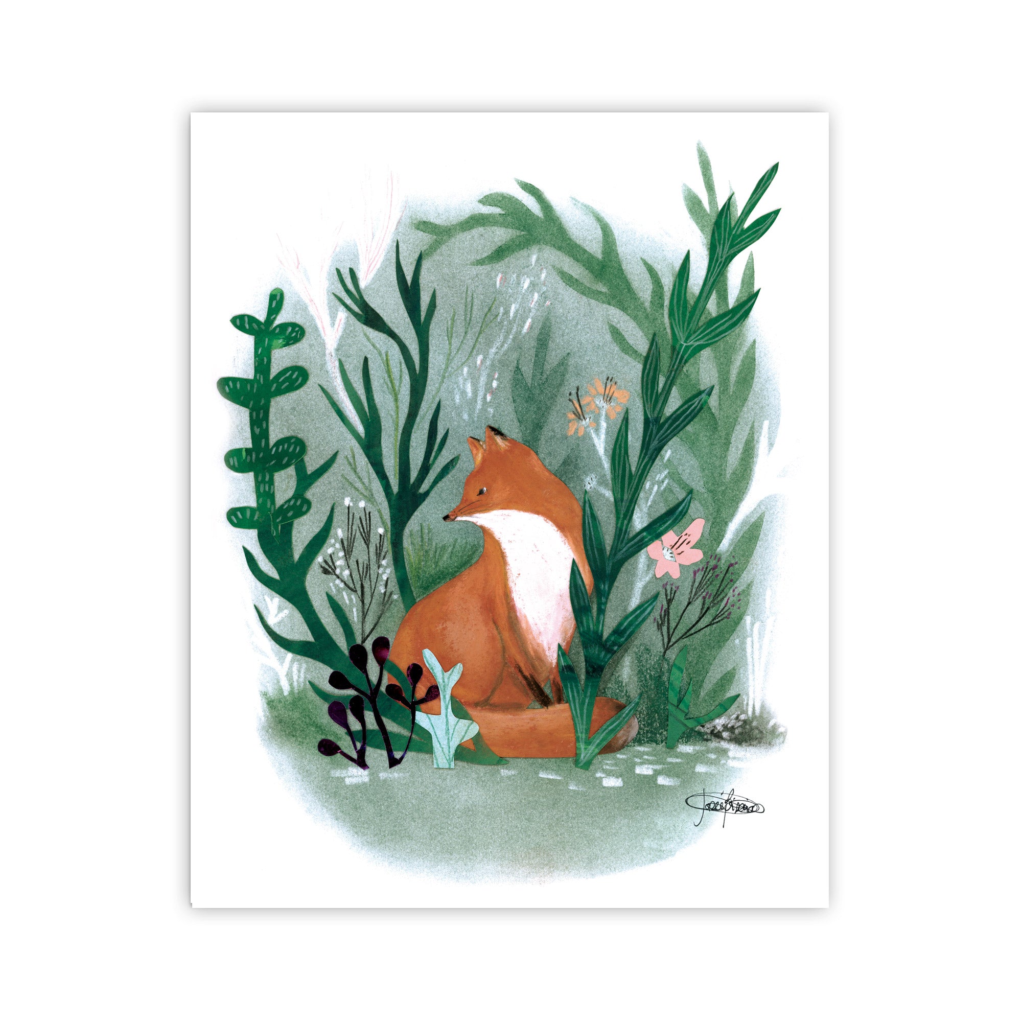 Le renard dans sa forêt